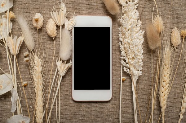 Iphone 6s plus : pourquoi son écran n'affiche rien ?